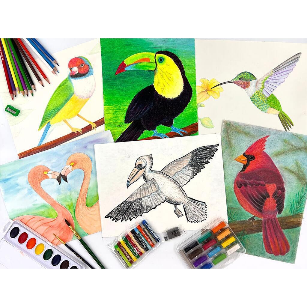 HOMESCHOOL ART B - Birds Drawing & Painting Kits I Create Art